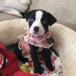 Meet your Posher, Jade